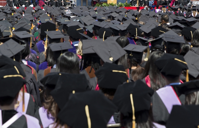 ELP students gain university acceptances