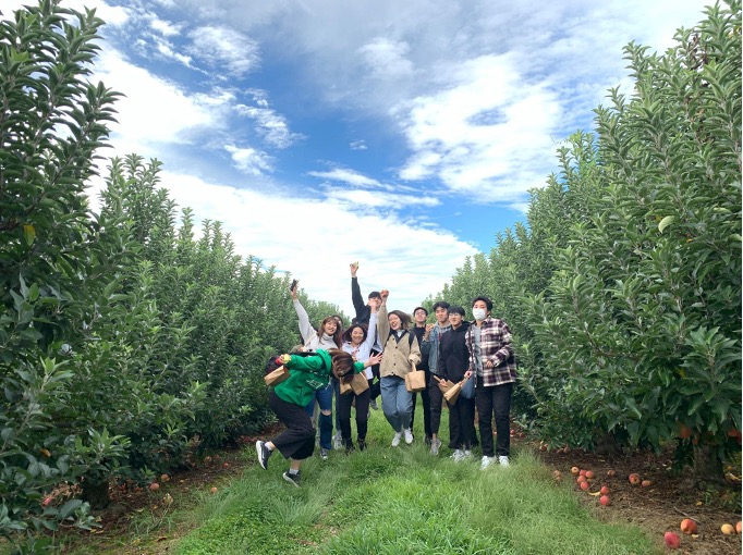 Picking apples on a bright sunny day at Linvilla Orchards