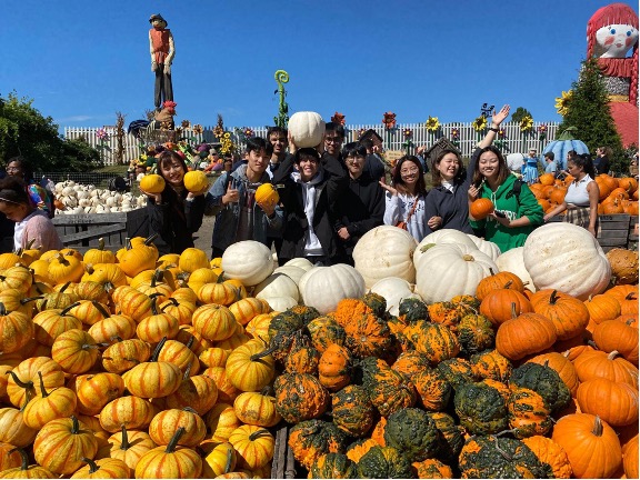 Enjoying the fall tradition of taking a hayride and admiring the pumpkins!